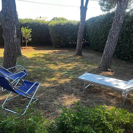 Rene', Plemmirio